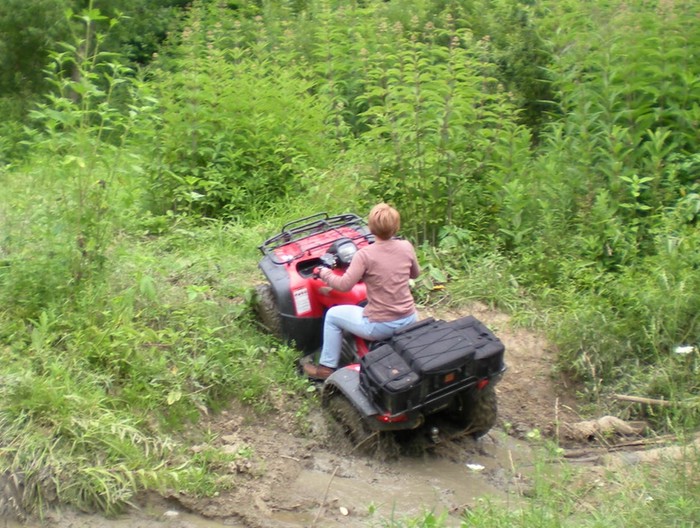 Betsy in Mud Hole 07/18/09
