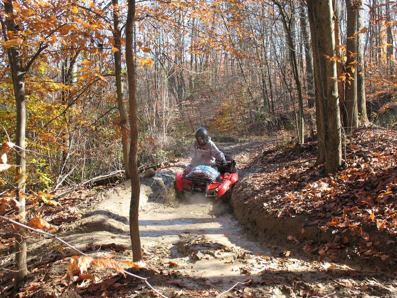 Betsy in Mud Hole 11/01/11