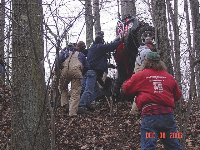 David in Tree 12/30/06