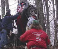 David in Tree 12/30/06