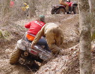 Griz in Rut 04/05/08