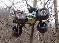 Hatfield McCoy In Tree 11/26/10 - 1