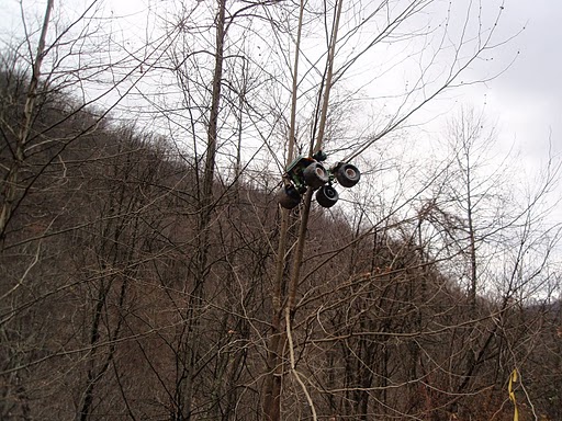 Hatfield McCoy in Tree 11/26/10_2