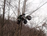 Hatfield McCoy In Tree 11/26/10 - 2