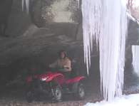 Terri